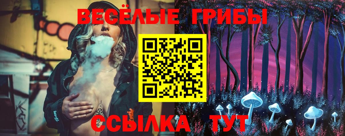 Пенза  купить закладку  Вход с VPN  Галлюциногенные грибы Magic Shrooms 