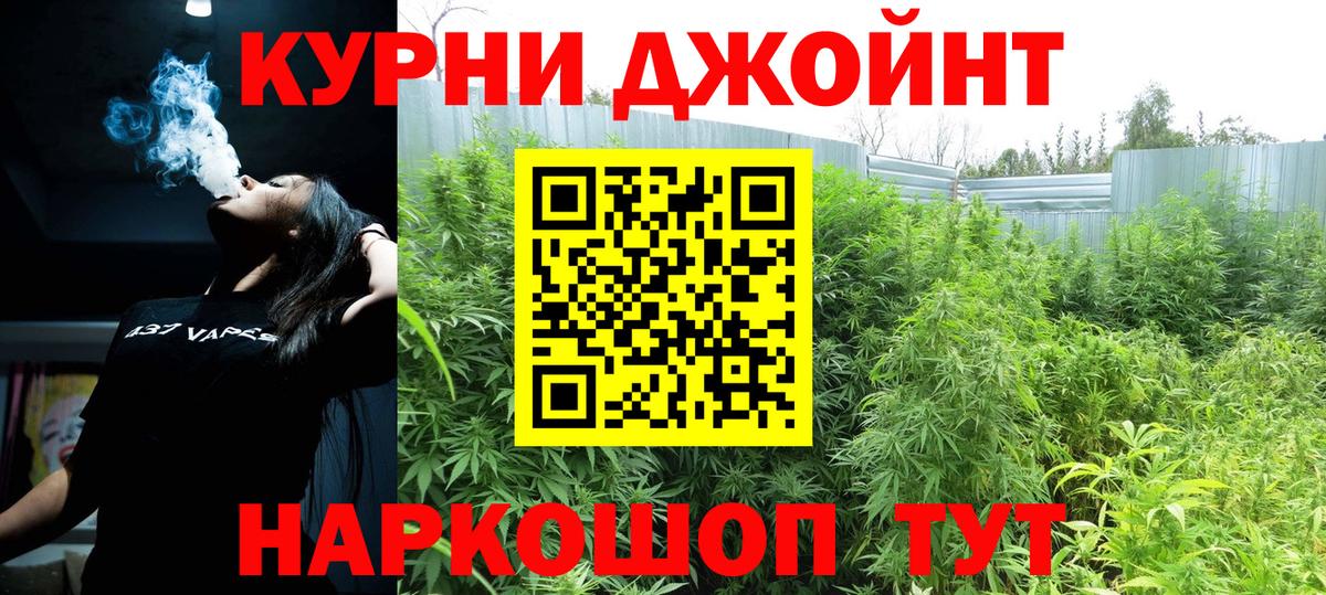 Марихуана VHQ  Каннабис план  Пенза  Вход с VPN  Бошки марихуана тримм  Марихуана гибрид 